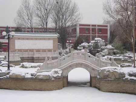 ZԴW
