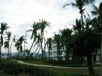 海南大學(xué)三亞學(xué)院