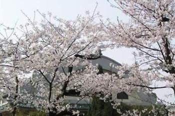 武漢大學(xué)